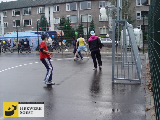 Hekwerk Soest B.V. | Inspiratie: Ballenvanger - van dubbelstaafmat met een los voetbaldoel erin.