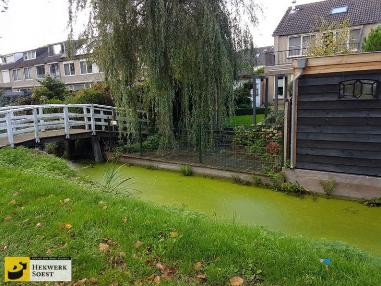 Hekwerk Soest B.V. | Inspiratie: Groen dubbelstaafmat aan het einde van de tuin, bij het water.